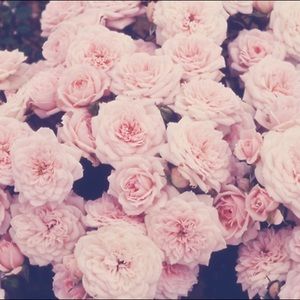 Meet your Posher, Ari